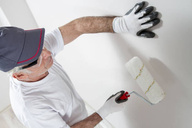 Best Industrial Mold Remediation  in Paden City, WV