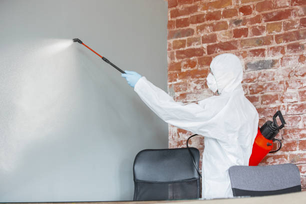 Best Mold Prevention Services  in Paden City, WV