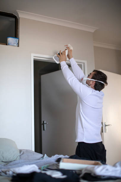 Best Water Damage & Mold Remediation  in Paden City, WV