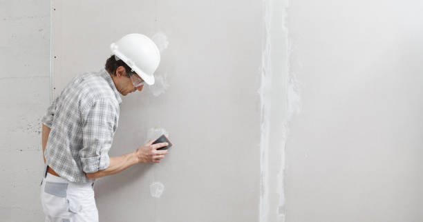 Best Air Quality Testing for Mold Spores  in Paden City, WV