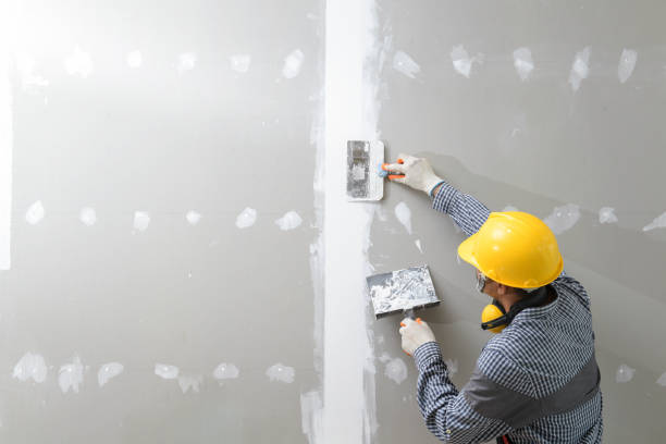 Best Environmental Consulting for Mold Prevention  in Paden City, WV