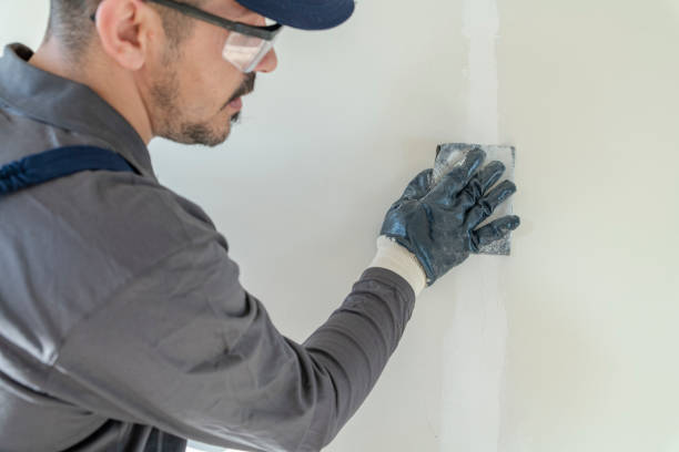 Best Airborne Mold Testing  in Paden City, WV