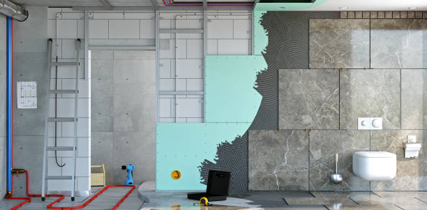 Best Basement Mold Removal  in Paden City, WV