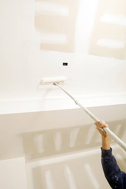Professional Mold Removal in Paden City, WV