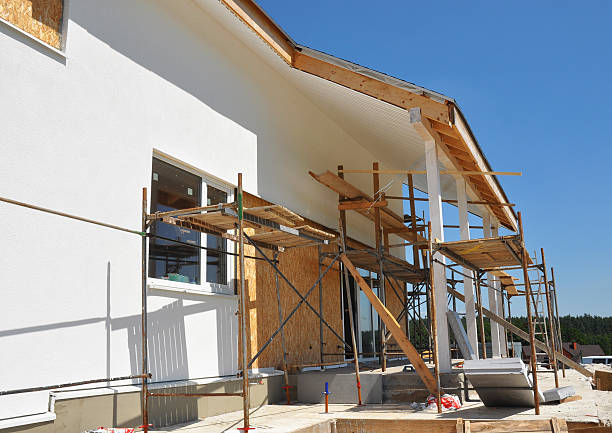 Best Real Estate Mold Inspection  in Paden City, WV