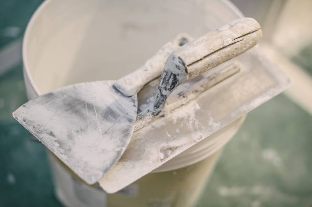 Biohazard Mold Removal in Paden City, WV